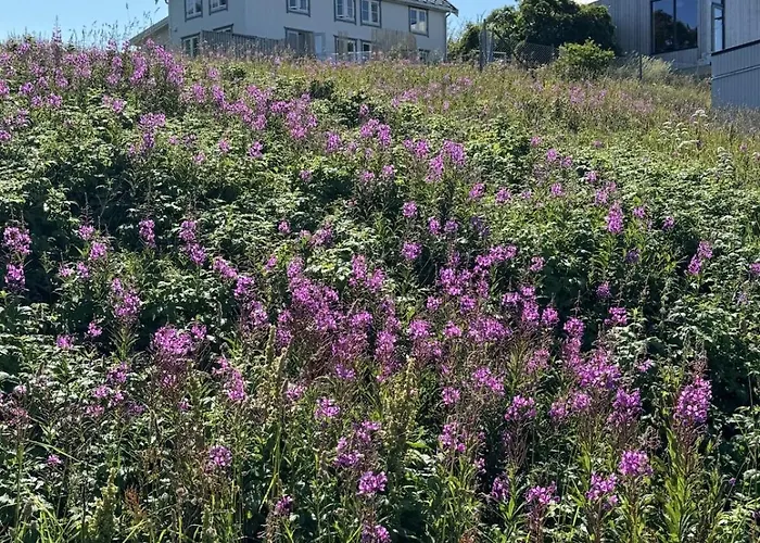 New, Modern House In Beautiful Skrova, Lofoten *