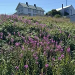 New, Modern House In Beautiful Skrova, Lofoten *
